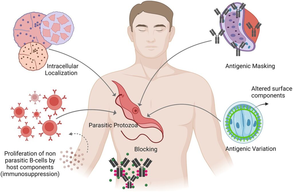 mold in the body