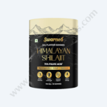 Himalayan Shilajit Gummies